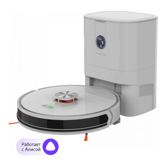 Замена комплекта щеток GARLYN SR-950